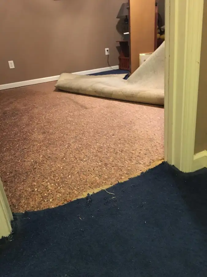 Carpet pad removal revealing water damage during Drying & Dehumidification in Forest Lake