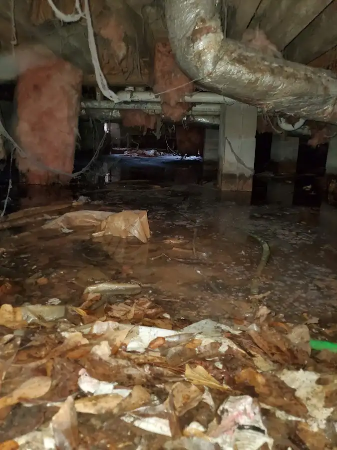 Crawl space flood assessment for Commercial Water Damage Restoration in Forest Lake