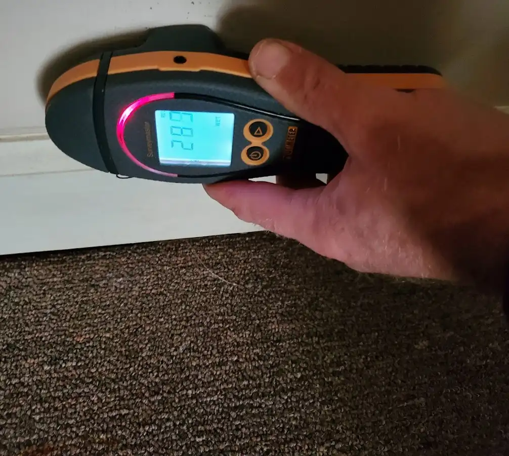 Moisture detection at baseboard during Burst Pipe Cleanup in Forest Lake