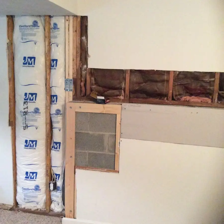Wall insulation replacement during Odor Removal & Deodorization in Forest Lake
